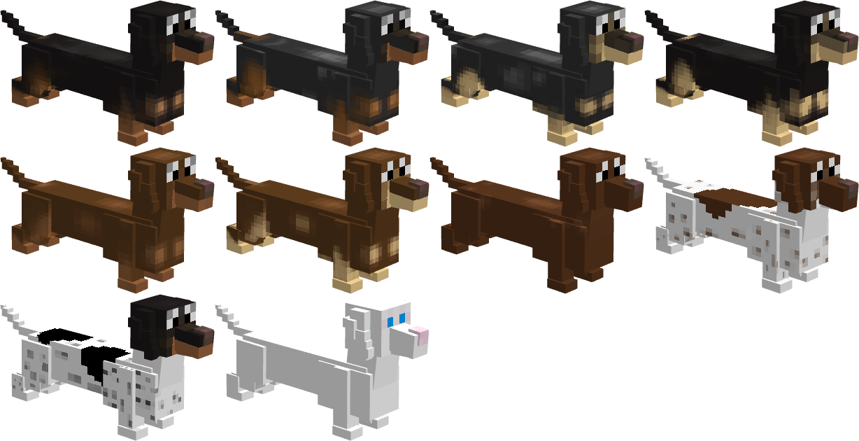Dachshund coat variants