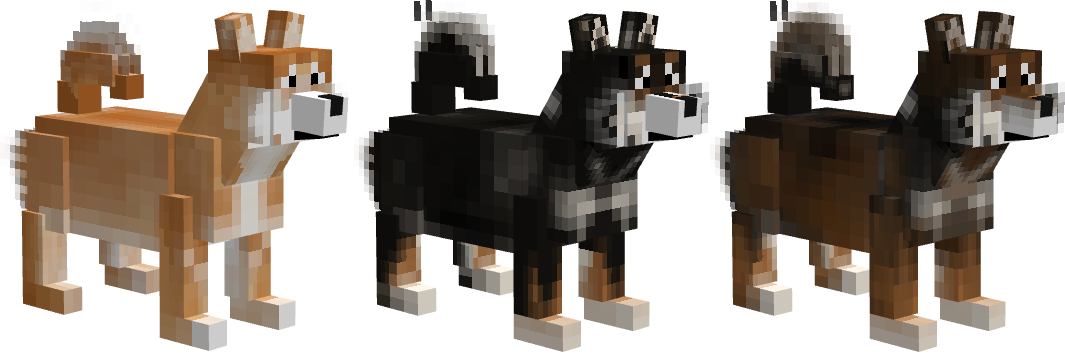 Shiba Inu coat variants
