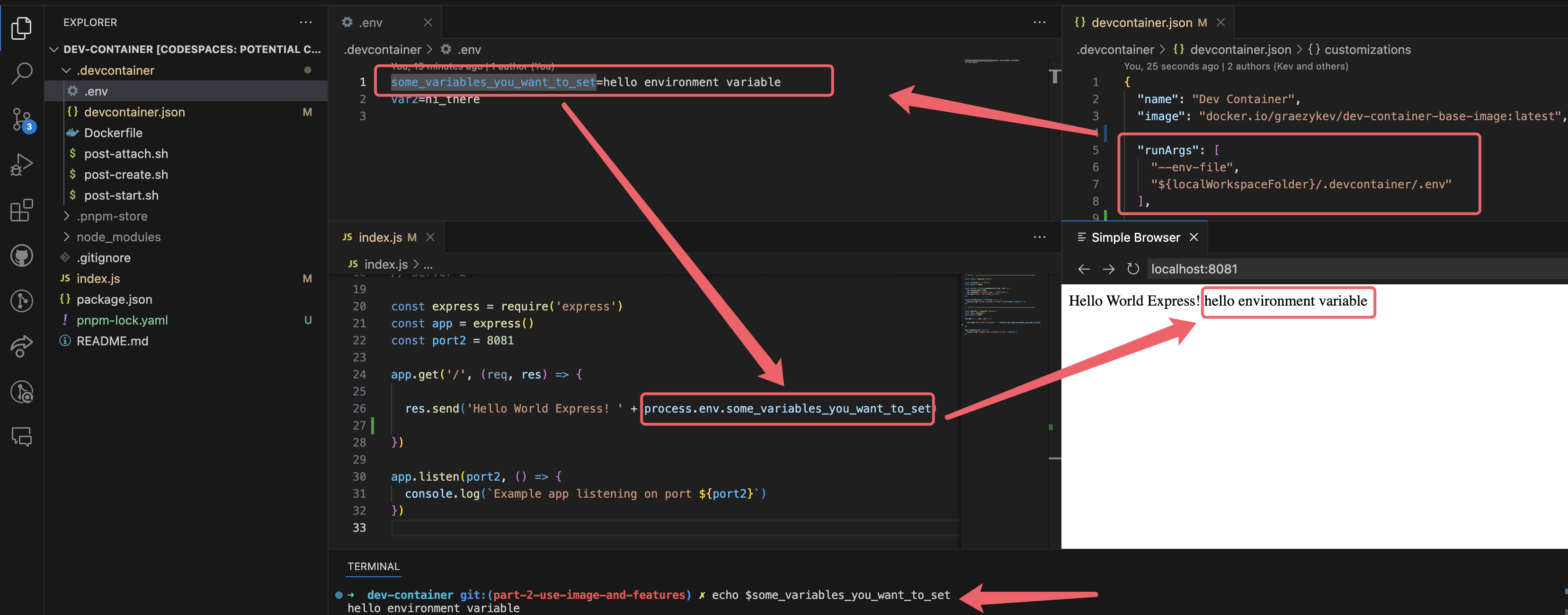 use arguments, variables in dev container