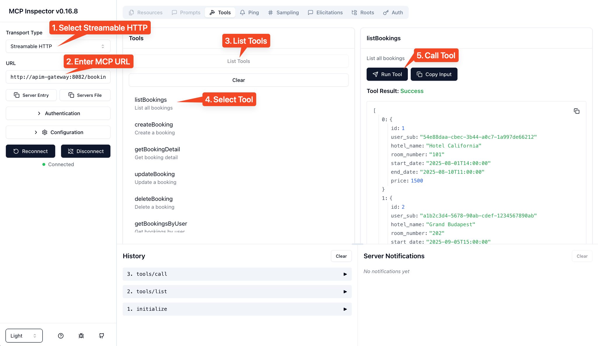 MCP Inspector Interface