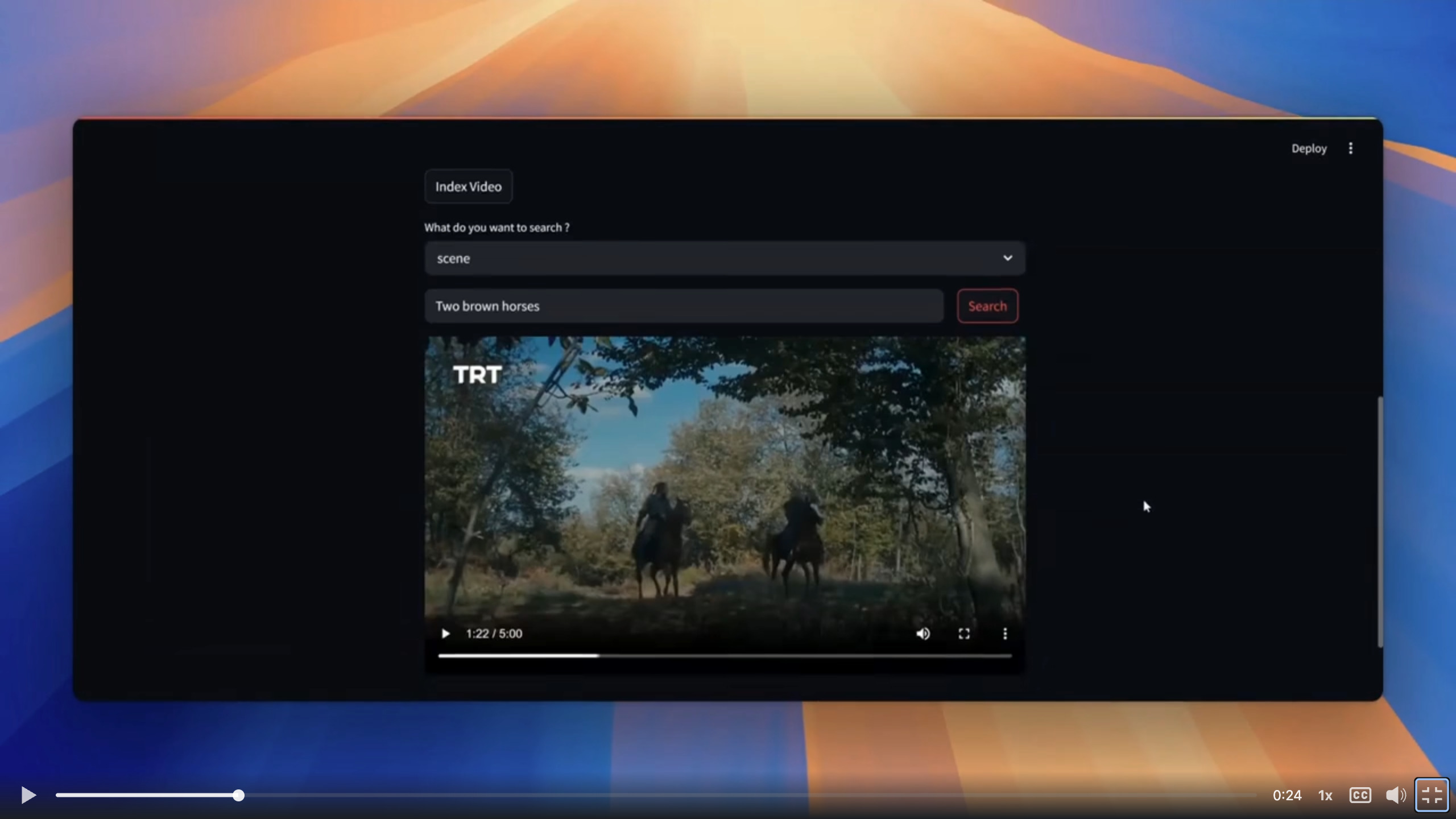VidXP browser interface