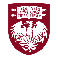 University Of Chicago