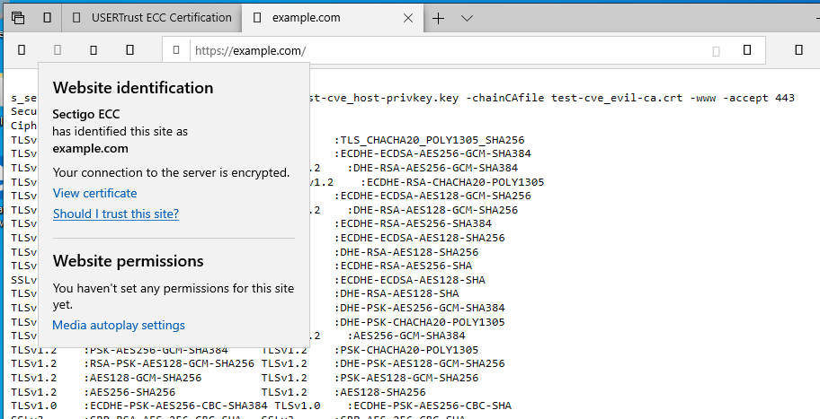 example.com spoofing