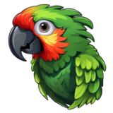 parrot