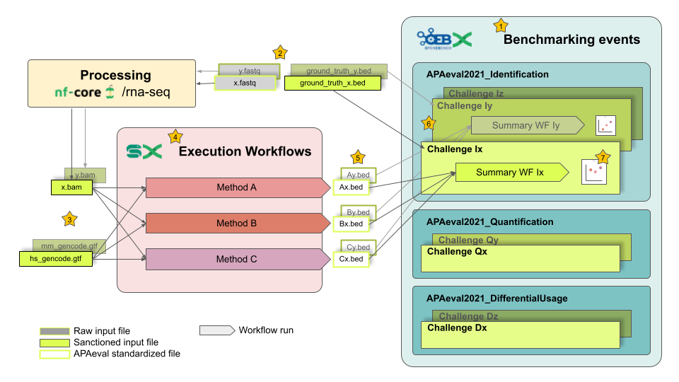 schema