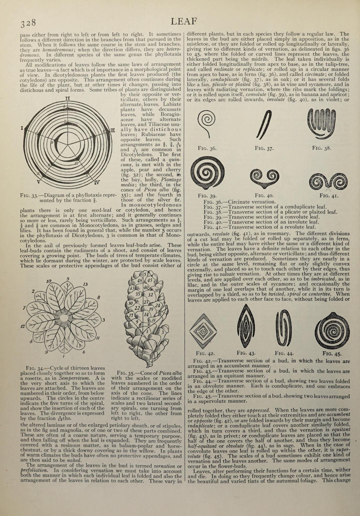 Historical leaf reference page used in the early trace test