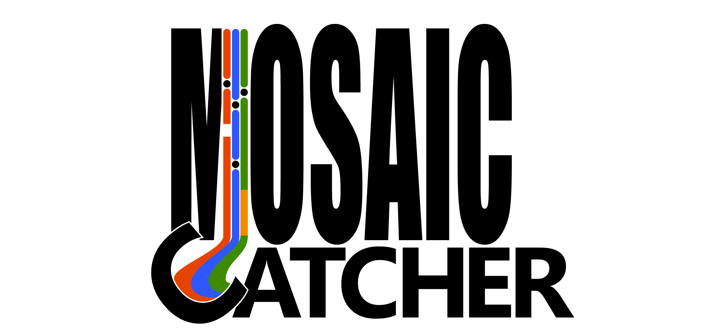 MosaiCatcher