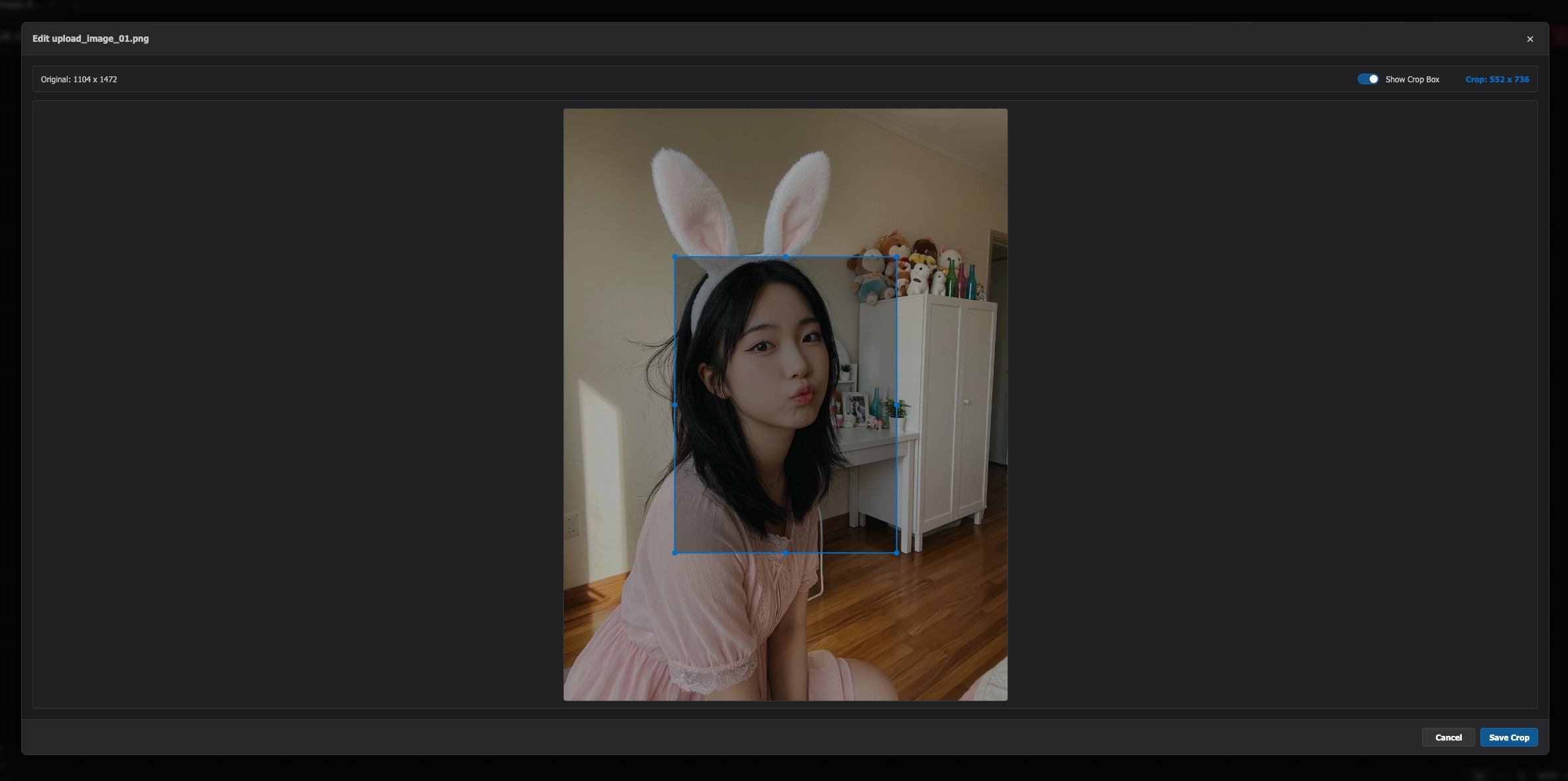 XIS_ImageManager Interface