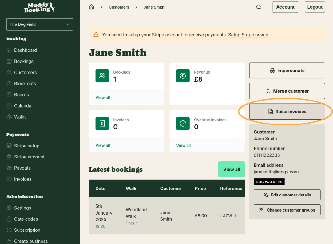 Customer profile with Raise invoices button