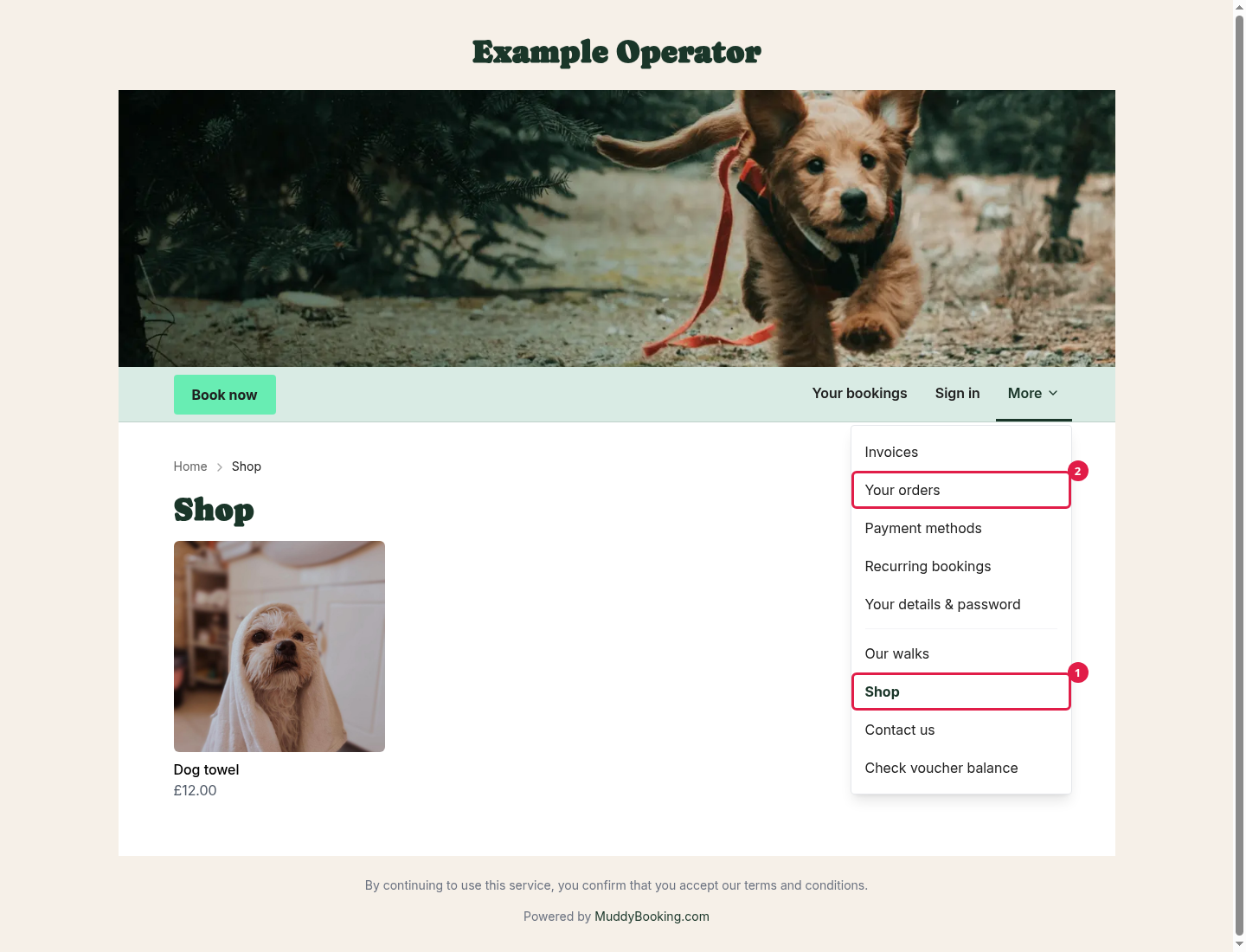 Your website with the More menu open, showing the Shop and Your orders links