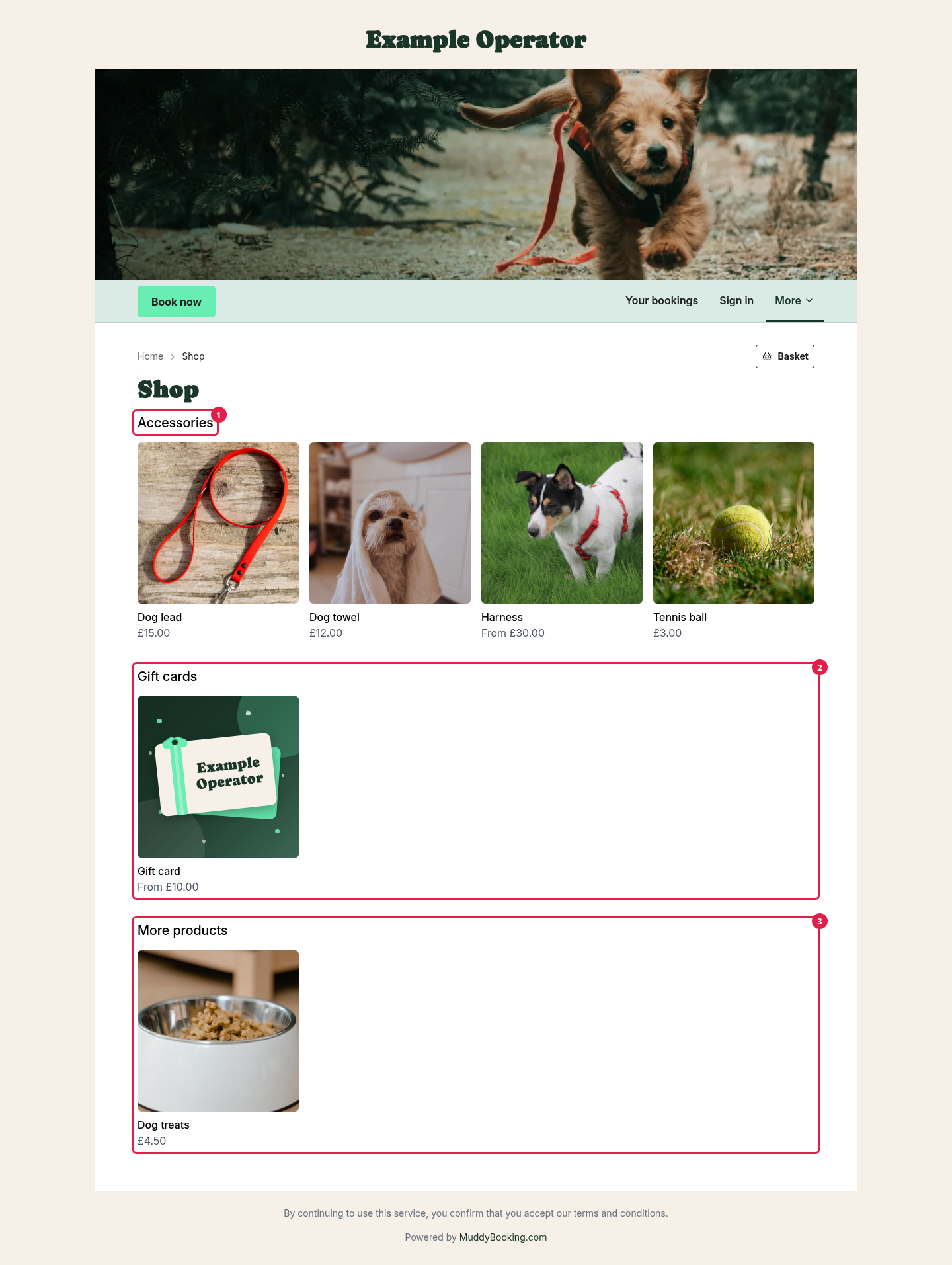 The shop front with an Accessories section, a Gift cards section and More products