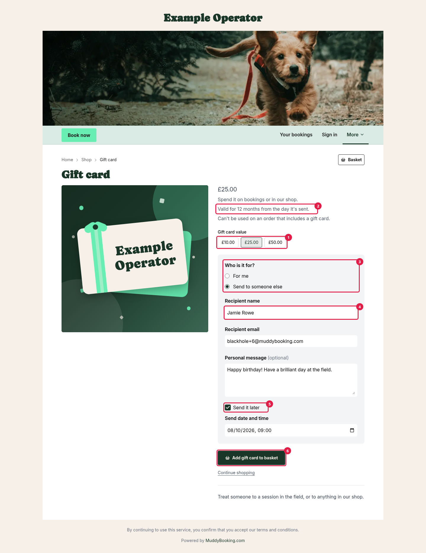 The gift card's page in the shop, with £25 chosen and the gift card set to send to someone else on a later date