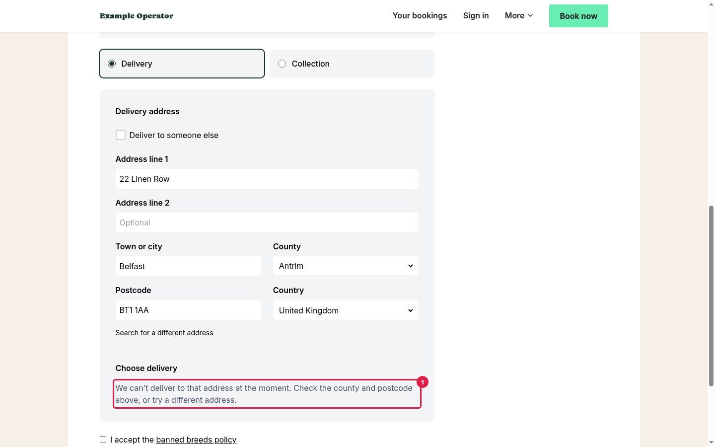 The checkout with a Belfast address, saying it can't deliver there