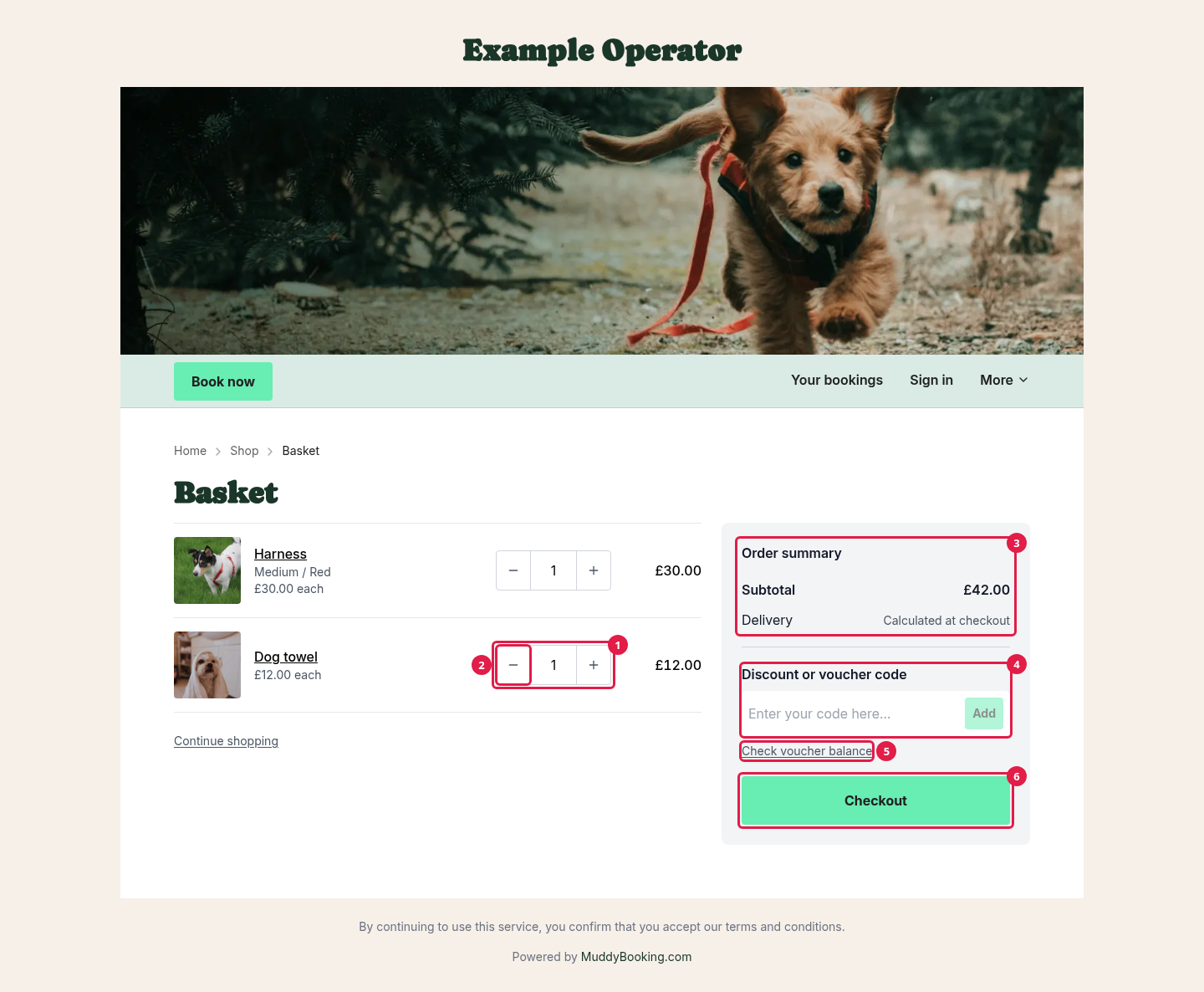 The basket with two items, the order summary, the code box and the Checkout button