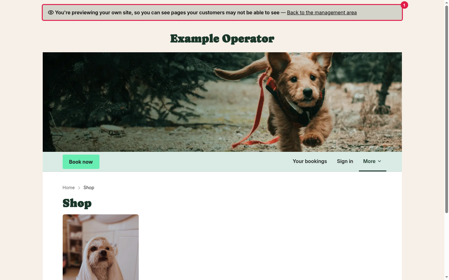 A preview of the shop, with the preview banner at the top