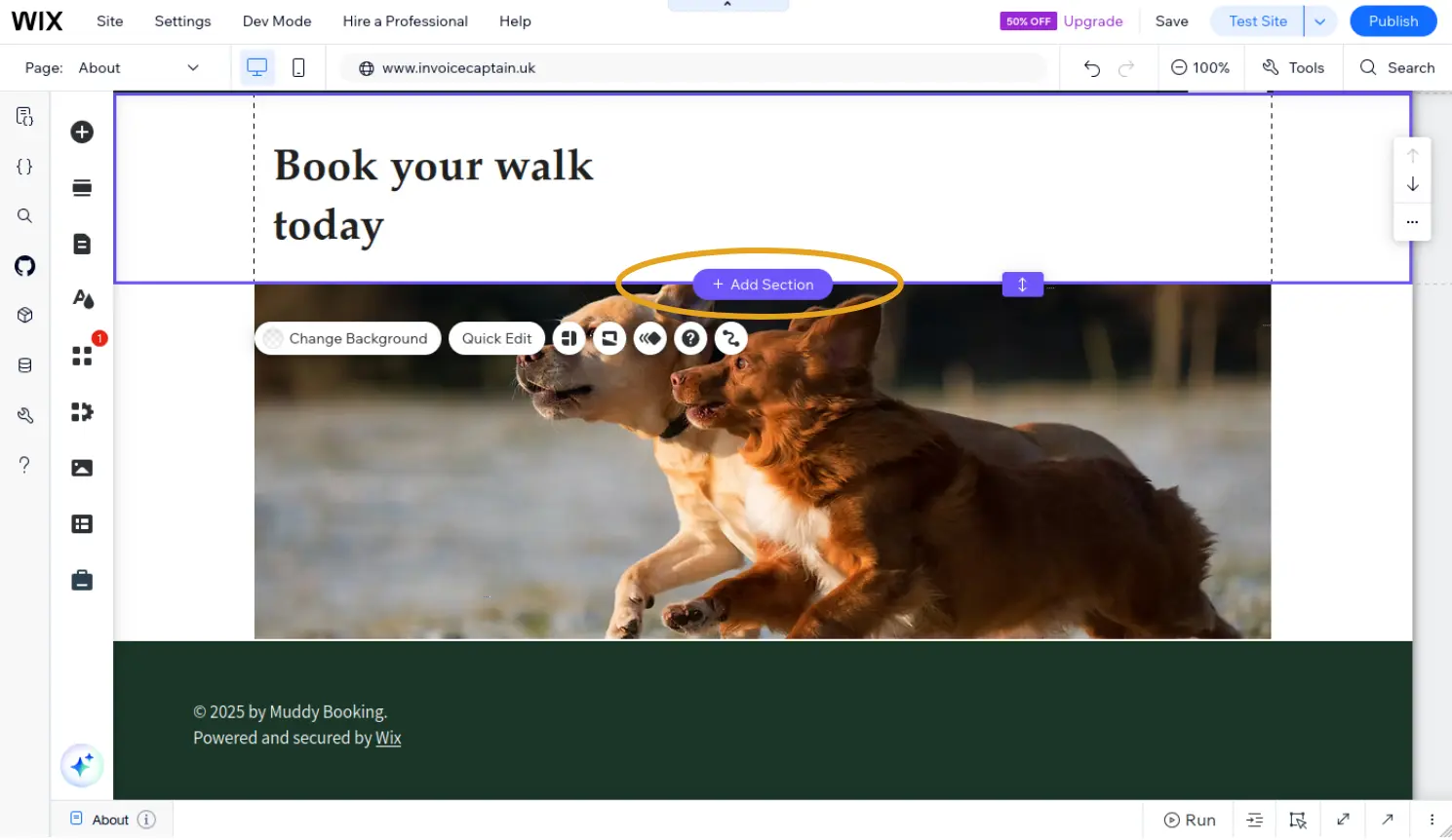 Adding a new section