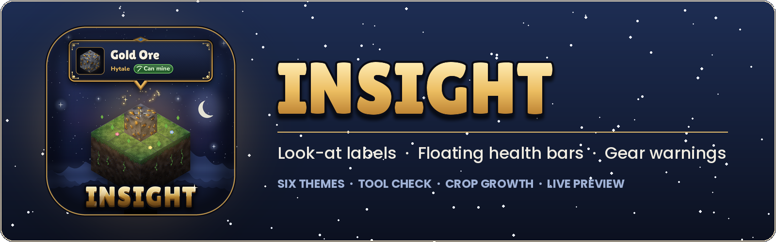 Insight