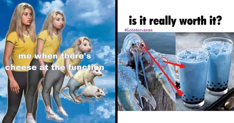 A_compilation_of_animal_and_ecology_themed_memes.webp
