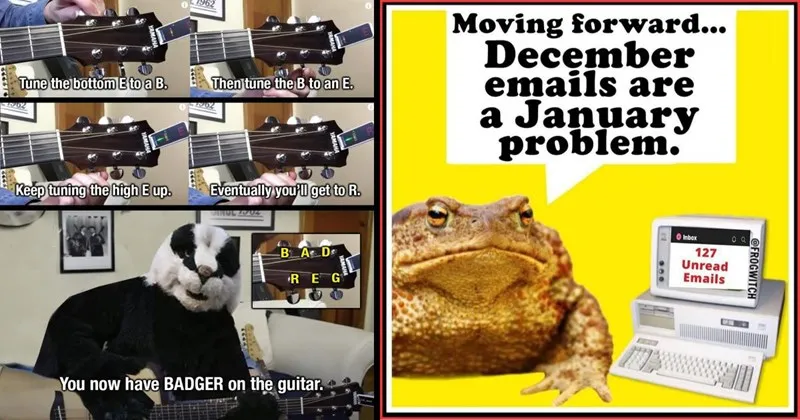 A_compilation_of_funny_and_cute_memes_about_animals_.webp