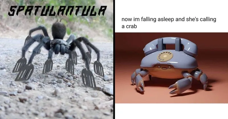 A_compilation_of_funny_and_punny_animal_memes.webp