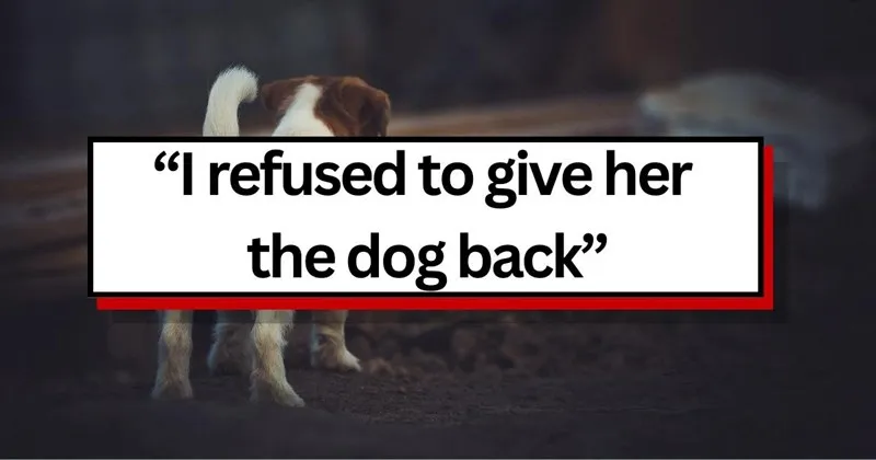 You_took_my_dog___Two_years_after_taking_a_stray_dog_in__dog_owner_faces_a_woma.webp