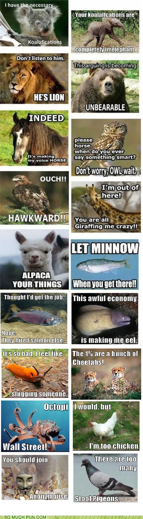 animal_animals_Image_names_politics_puns_-_6364832000.webp