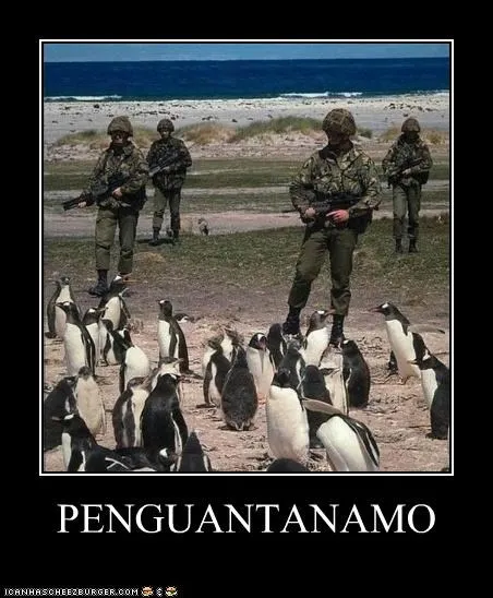 animals_Guantanamo_Bay_Image_penguins_soldiers_voting-page_wordplay_-_4342230016.webp