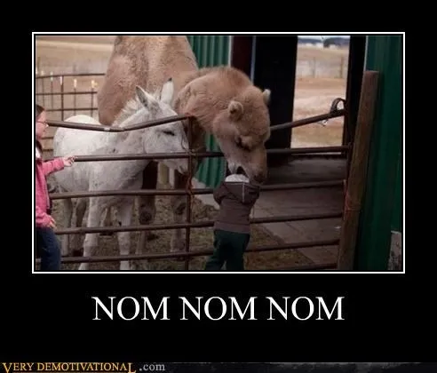 animals_Hall_of_Fame_Image_nom_nom_tasty_-_4534836736.webp