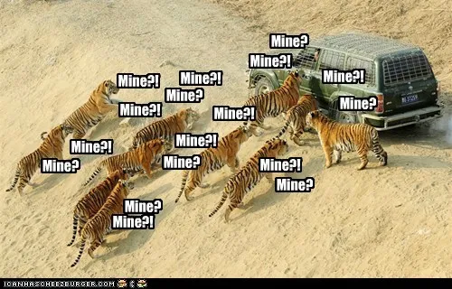animals_Hall_of_Fame_Image_political_pictures_tigers_-_5865867264.webp