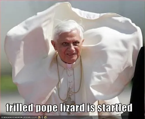 animals_Hall_of_Fame_Pope_Benedict_XVI_religion_voting-page_-_16.webp