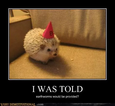 animals_Hall_of_Fame_hedgehog_hilarious_Image_-_5417331456.webp
