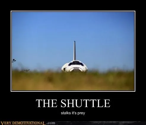 animals_Hall_of_Fame_hilarious_Image_prey_shuttle_-_4956561152.webp