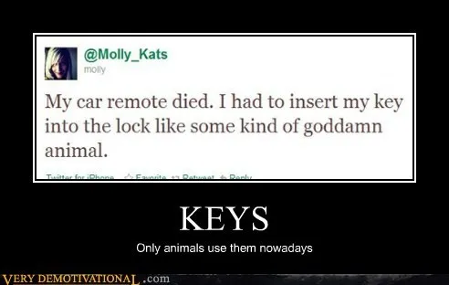 animals_car_hilarious_Image_keys_-_5495149824.webp