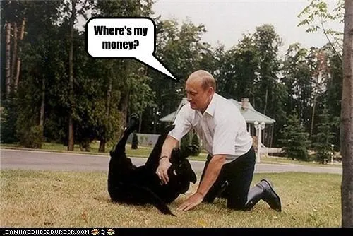 animals_dogs_funny_Image_lolz_pets_Vladimir_Putin_vladurday_-_4170054144.webp