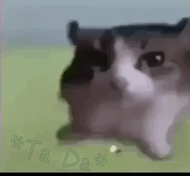 4k-cat-meme-meme-ta-da-gif.webp
