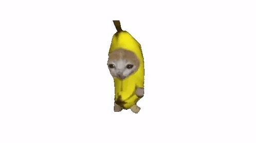 banana-cat-running-gif.webp