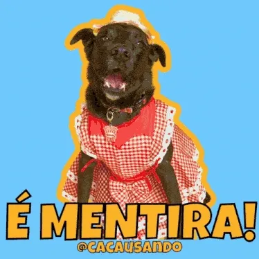 cacausando-cacauecookie-festajunina-humor-cachorro-gif.webp