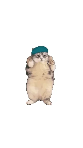 fat-cat-groovy-dance-jiggly-wiggly-gif.webp