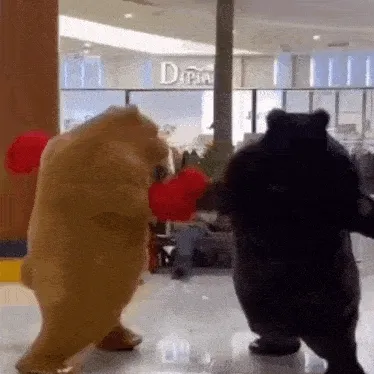fighting-bear-boxing-gif.webp