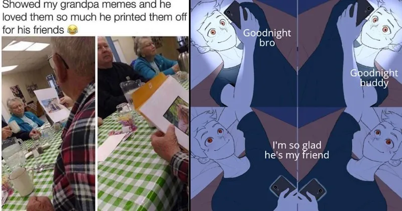 wholesome__wholesome_memes__memes__funny__funny_memes__cats__dogs__animals__anim.webp