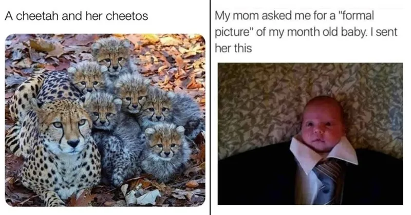 wholesome__wholesome_memes__memes__funny__funny_memes__relatable_memes__relation.webp