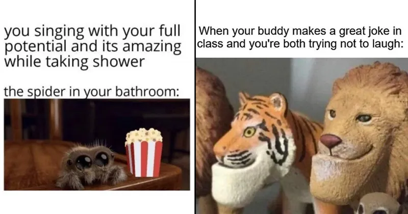 wholesome__wholesome_memes__nice__good__dogs__dog_memes__animals__animal_memes__.webp