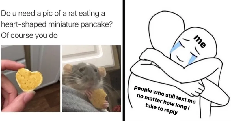 wholesome__wholesome_memes__nice__good__memes__funny__funny_memes__tweets__anima.webp