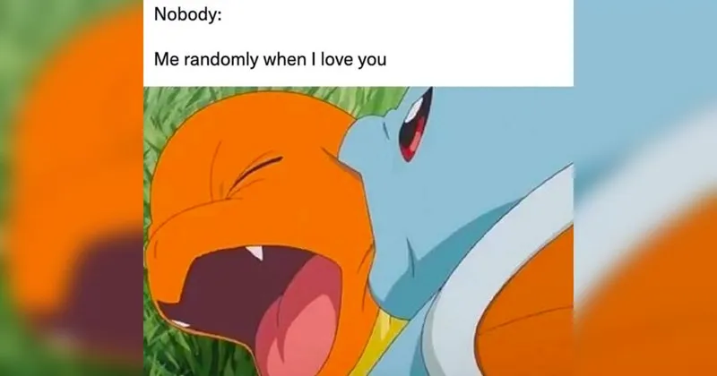 wholesome__wholesome_memes__positivity__nice__good__memes__funny__funny_memes__t.webp