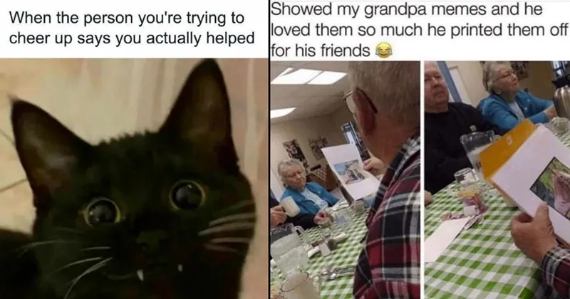 wholesome__wholesome_memes__tweets__tumblr__memes__funny__funny_memes__animals__.webp