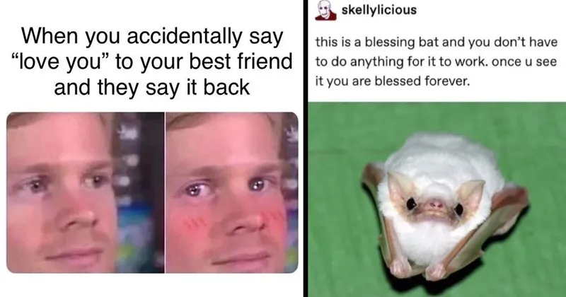 wholesome__wholesome_memes__tweets__tumblr__nice__good__animals__animal_memes__f.webp