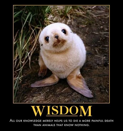 wisdom_funny_animals_-_8086669824.webp
