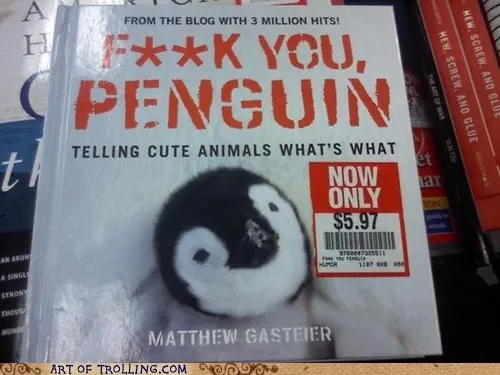 wtf_IRL_penguins_books_animals_-_6761635584.webp