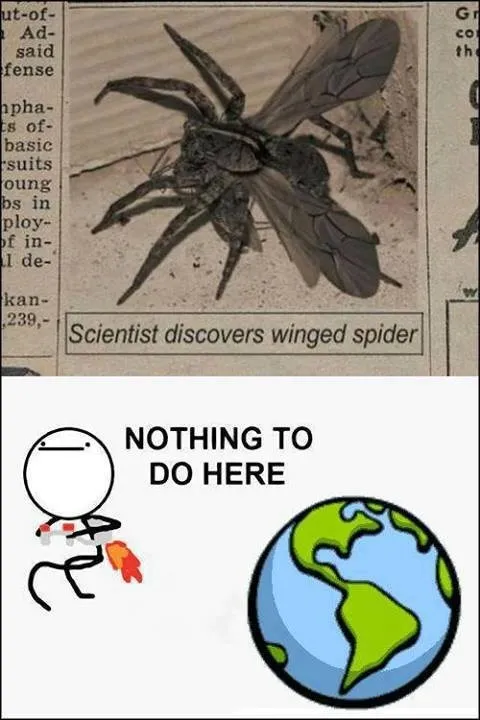 wtf_nope_animals_-_7672893696.webp