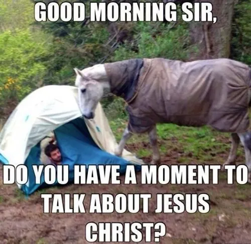 wtf_outside_horses_animals_funny_-_7486216960.webp